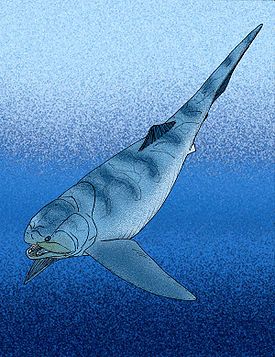 Titanichthys agassizi