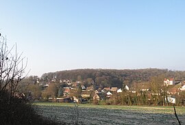 A general view of Dieudonné