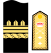 Insignia de general de división