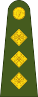 File:Ireland-Army-OF-2.svg