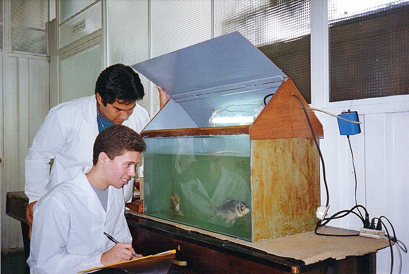 File:UNMSM PsiExperimental 1998 5.jpg