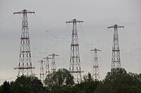 Curtain antennas in 2008