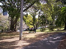 Wickham-Park-1.jpg