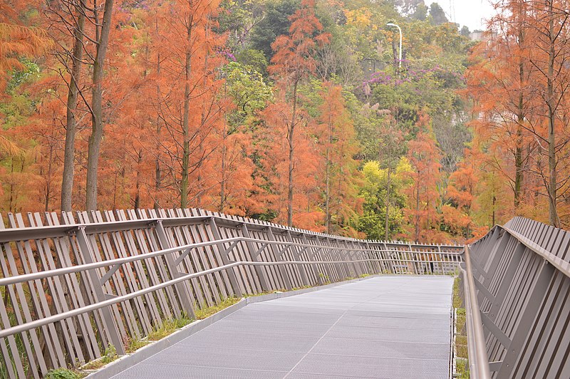 File:20181221福州福道（梅峰山地公园） 01.jpg