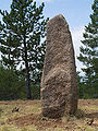 Menhir in the "Cham des Bondons" site, Lozère, France