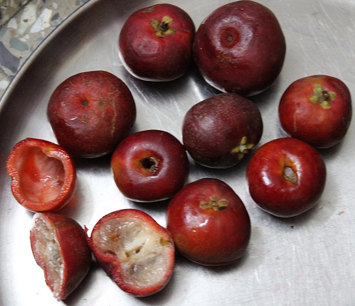 File:Garcinia indica fruit.jpg