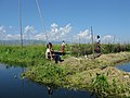 Floating gardens