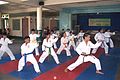 Karatedo by JJS