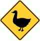 Duck crossing (Pennsylvania style)