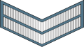 Air Force - sleeve