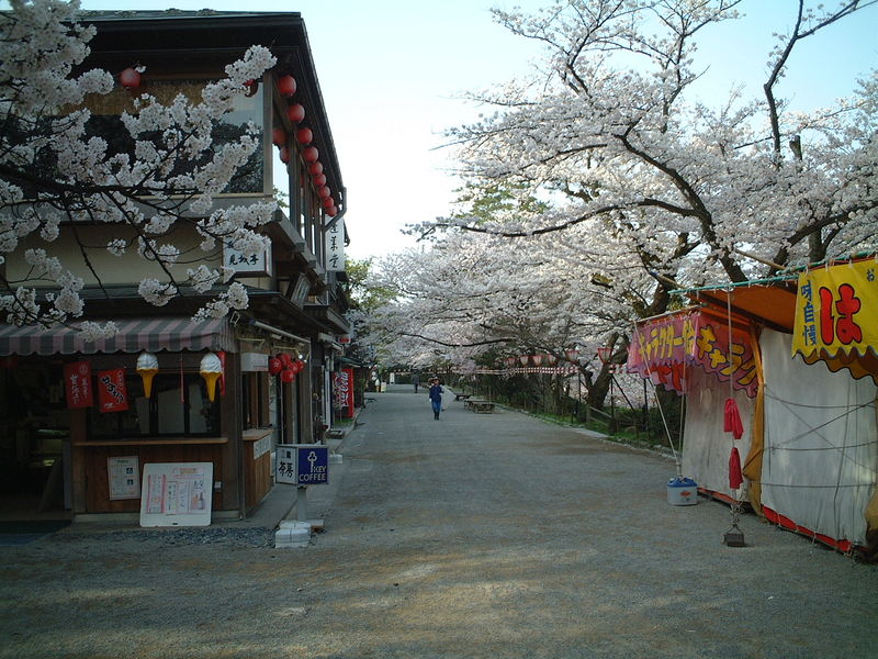 File:2002 kenrokuen hanami 0029.jpg