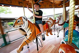 Carousel at the zoo.