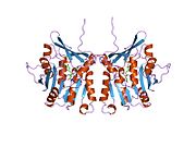 1xva: METHYLTRANSFERASE