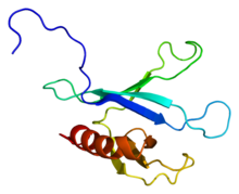 Protein DOK2 PDB 2d9w.png