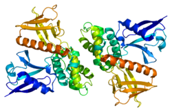 PDB прорисовано на основе 1h4r.