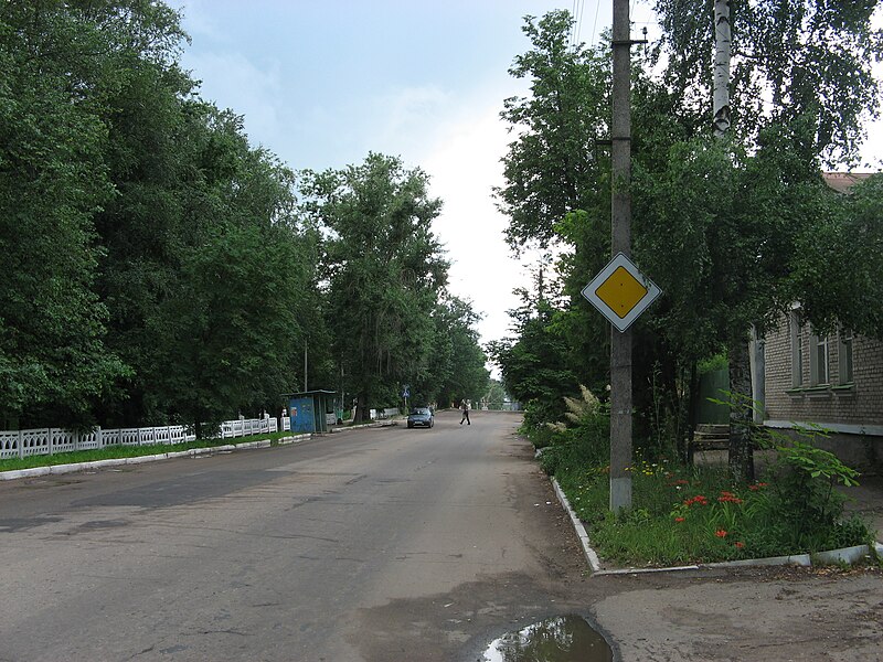 Файл:Pushkin Street in Sychyovka.jpg