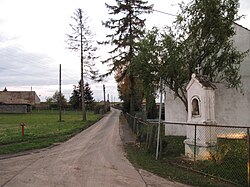 Road in Sławienko