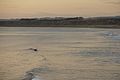 Surfer at Castlecliff Beach