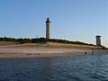 El Phare des Baleines (Faro de las Ballenas en francés).