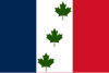 Flag of Saint-Éphrem-de-Beauce