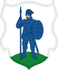 Coat of arms of Kaniv