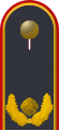 Jacke Dienstanzug Luftwaffenuniformträger General