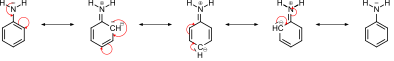 The amino group can donate electron density through resonance.