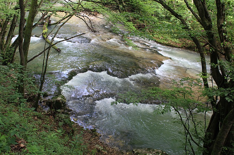 File:Beușnița (Beu) valley 23.jpg