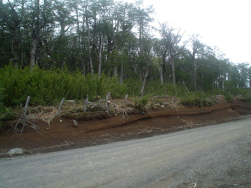 Archivo:Camino al volcan villarrica.jpg