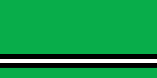 Файл:Flag of Osipovichi, Belarus.svg