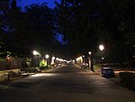 Main alley at night