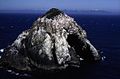 Big Hazy Islet - Alaska Maritime National Wildlife Refuge