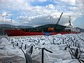 Calcium carbonate loaded in the port of Argostoli