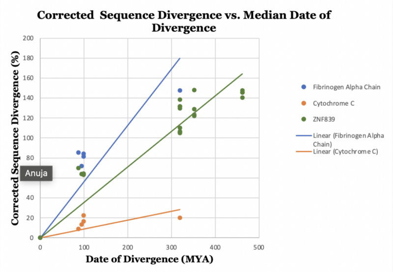 File:ZNF839 Evolution Rate.png