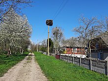 Сільська вулиця в Михайлівці.jpg