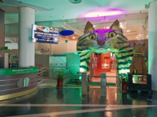 DBKU Cat Museum (2024).png