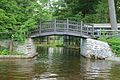 Lily Pond Foot Bridge on Brantingham Lake, NY