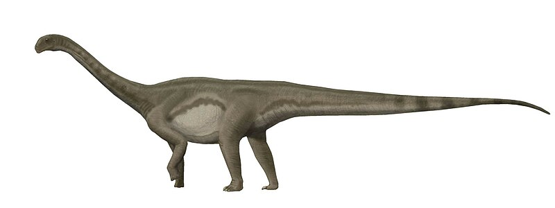 Файл:Patagosaurus.jpg