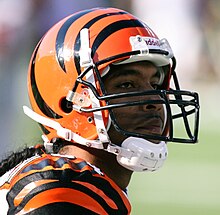 TJ Houshmandzadeh.jpg