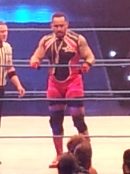 File:TNA MVP debut.jpg