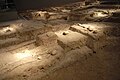 Skeletons of victims in Nanking massacre.