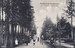 Waldpark around the Waldschloss, 1921