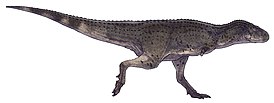 Aucasaurus