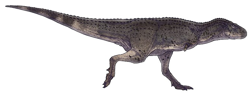 Файл:Aucasaurus garridoi by Paleocolour.jpg