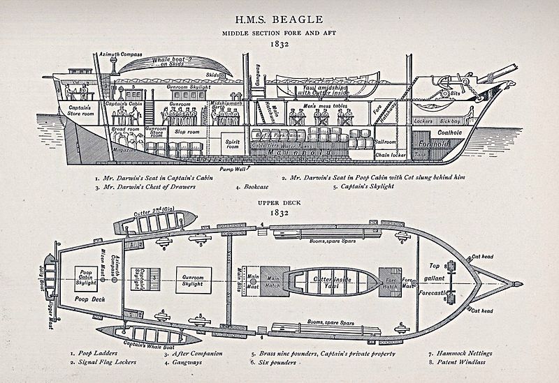 Archivo:Beagle - plan 1832.jpg