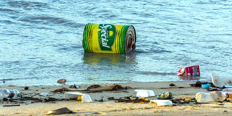 File:Caribbean Jetsam.jpg