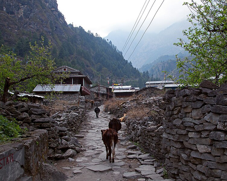 Файл:Dharapani village.jpg