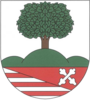 Coat of arms of Jílové u Držkova