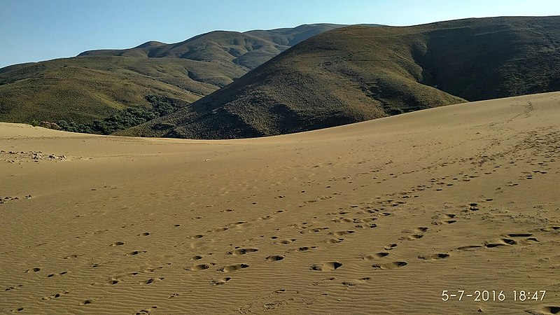 File:Lemnosdesert.jpg