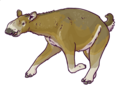 Restoration of Macrauchenia, a camel-sized member of the extinct ungulate order Litopterna